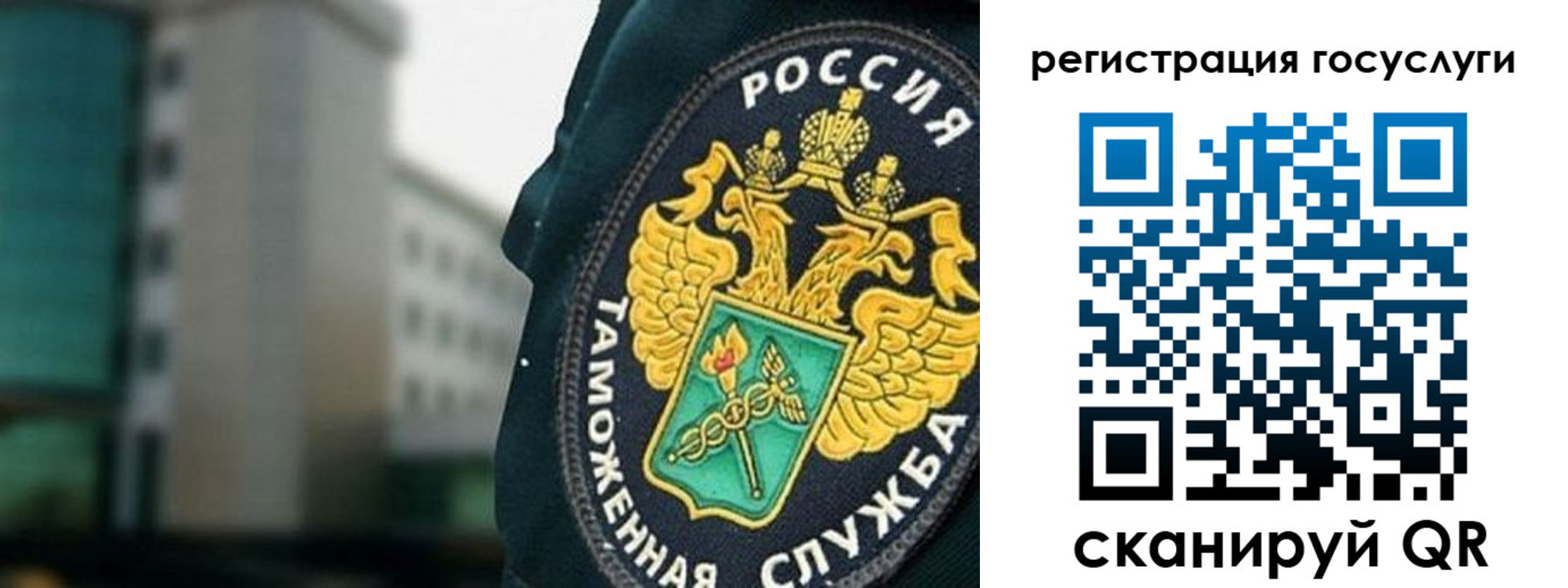 найти адрес прописки в Ивантеевке